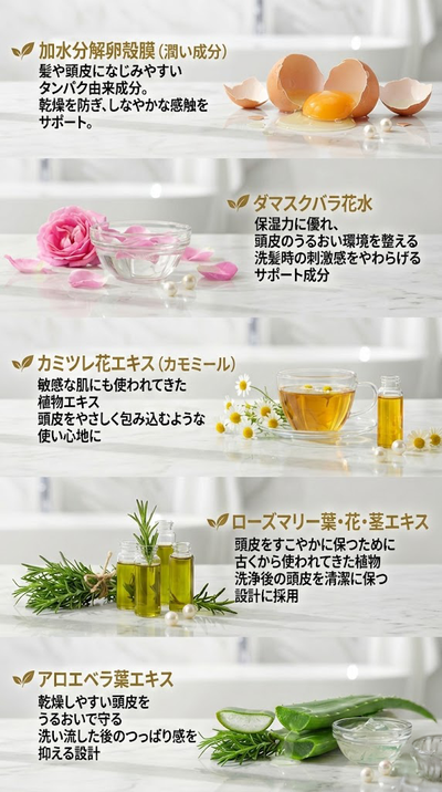 GINオーガニックシャンプー – Herbalcare Official Store